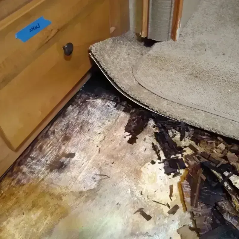 Wood Floor Water Damage in Clark County, KY